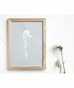 Ola Foil Blocked A4 Print Botanical Collection - Alyssum Grey/White